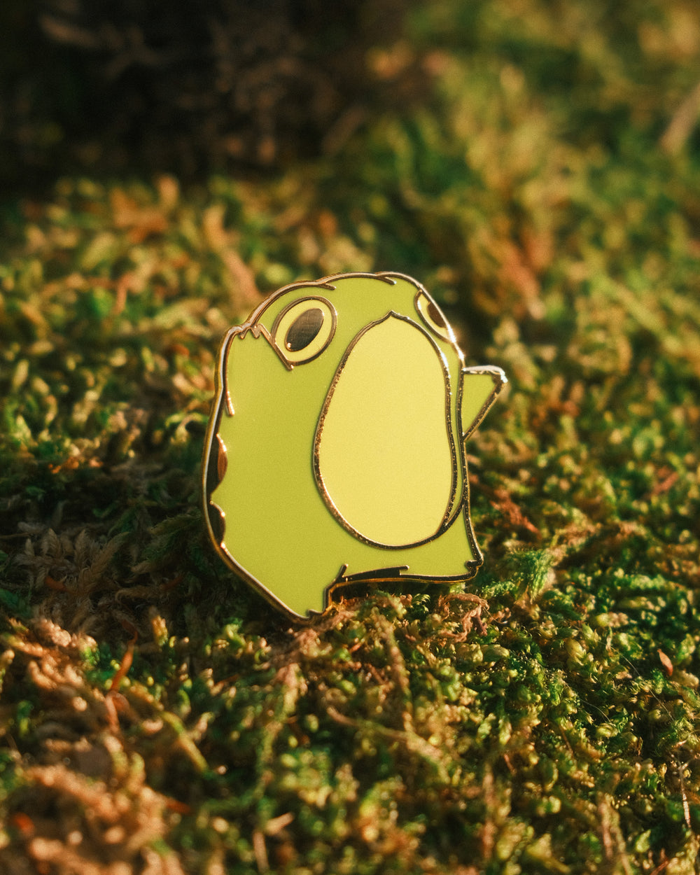 pin of dancing frog on a mossy background