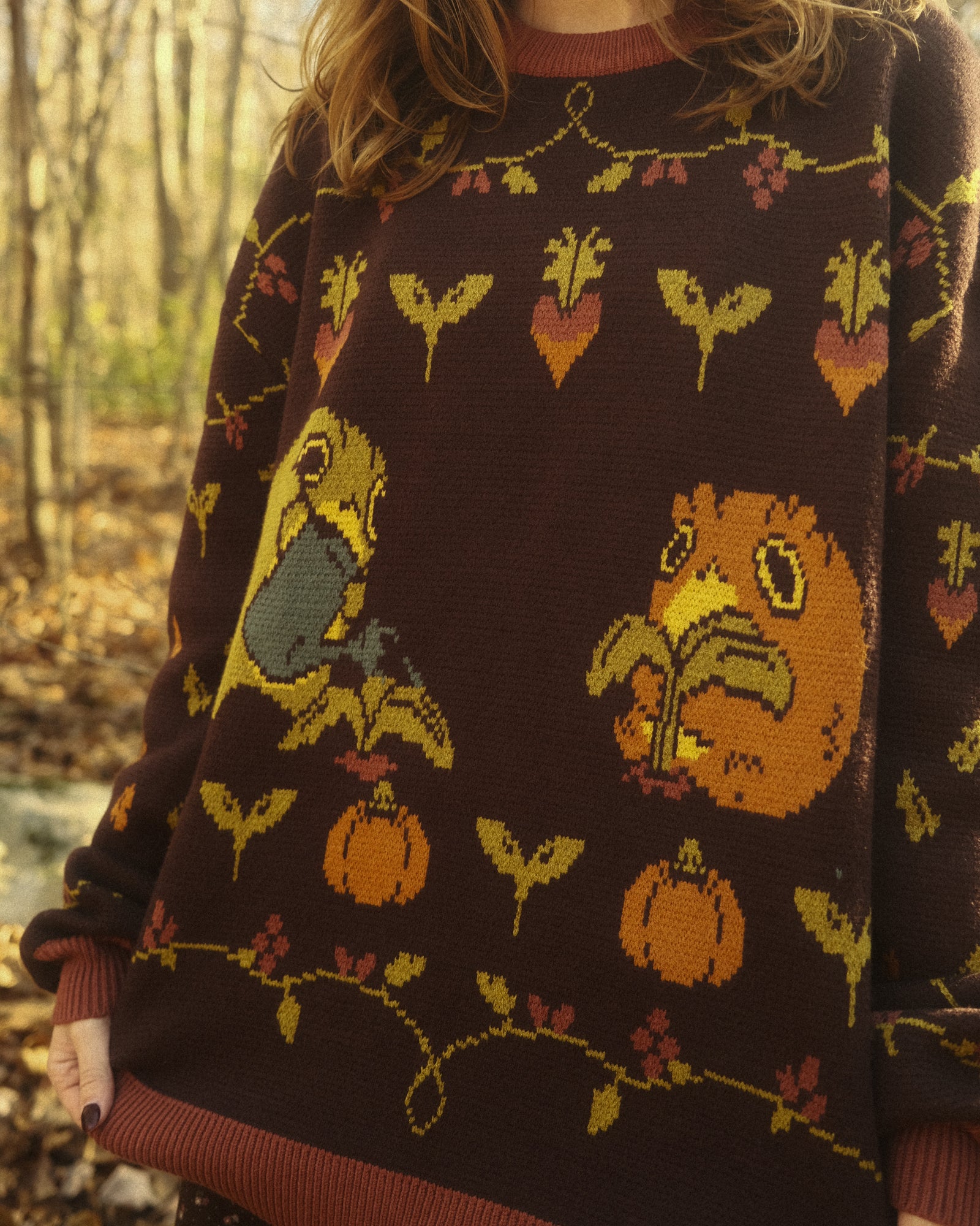 brown sweater depicting a frog and toad gardening