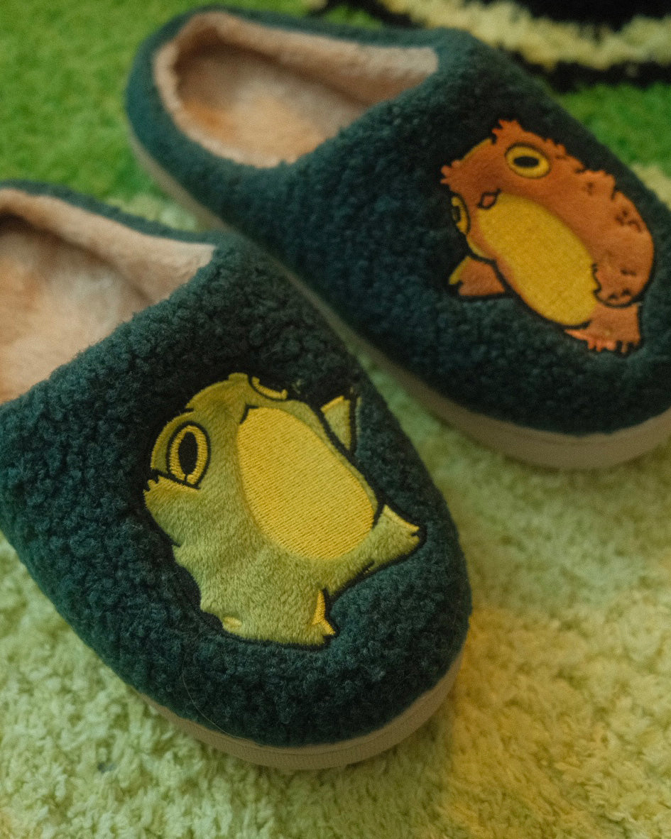 slippers with a frog and toad on each shoe