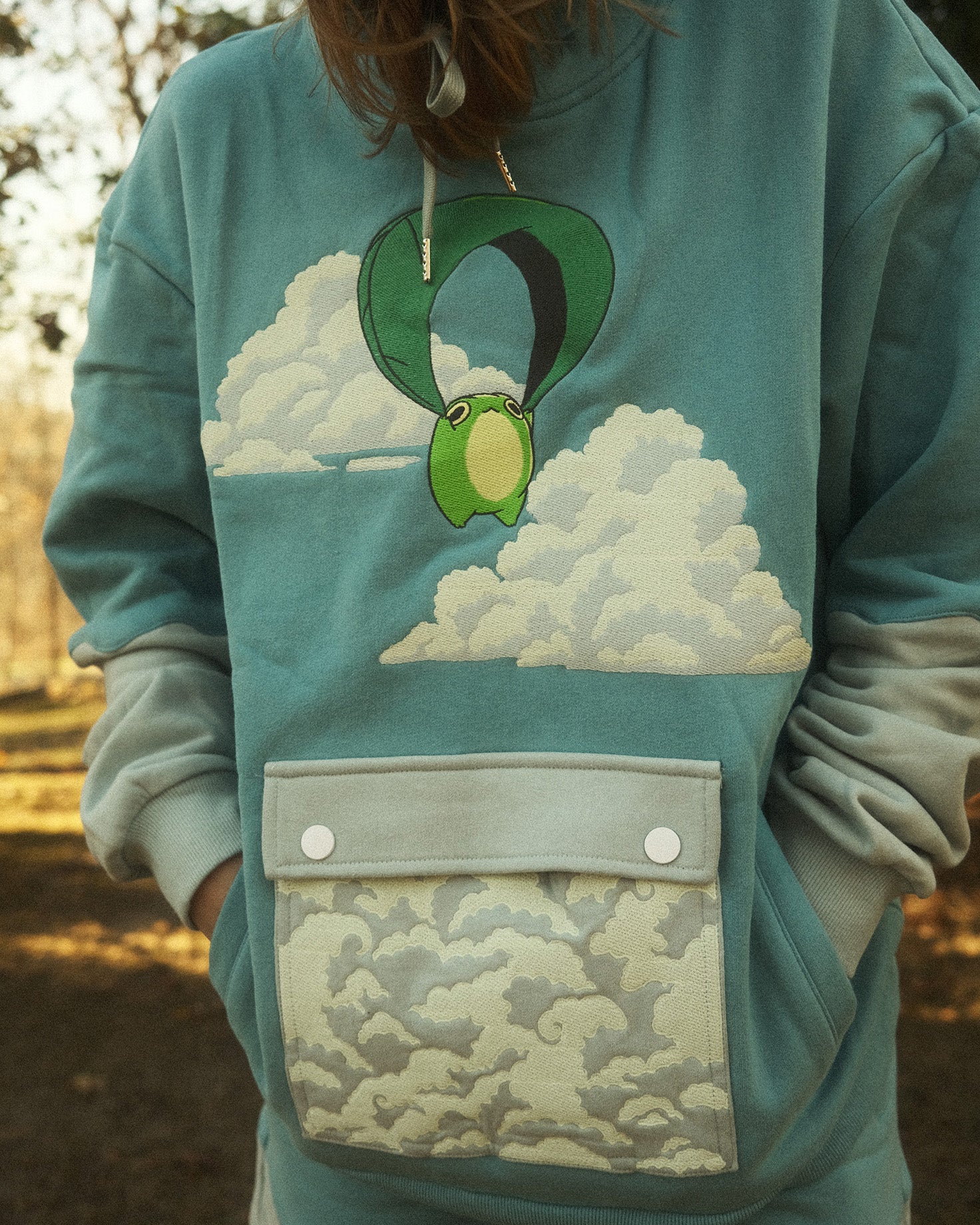 hoodie depicting frog gliding through a cloudy sky embroidered on it