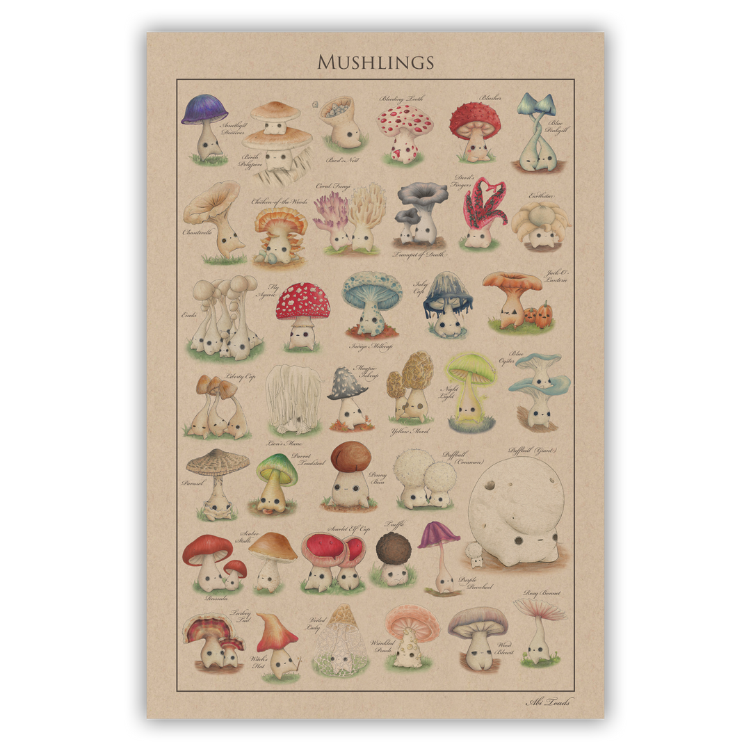 large print of mushling identification poster of many little mushroom creatures