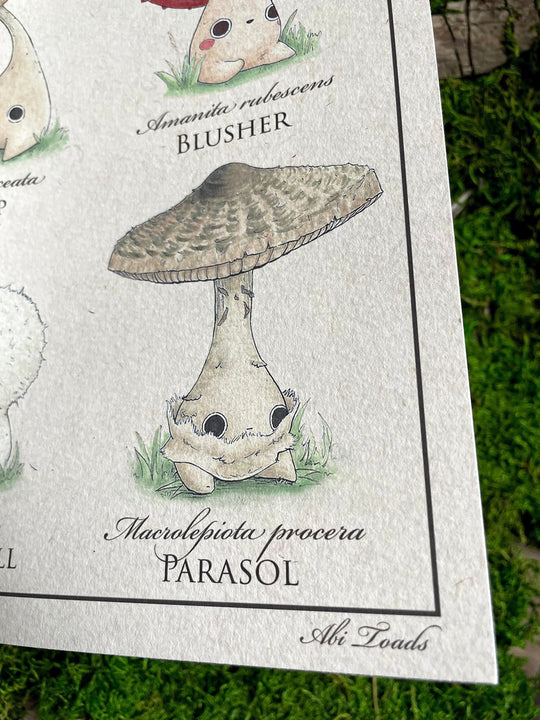 closeup of print "parasol" mushling