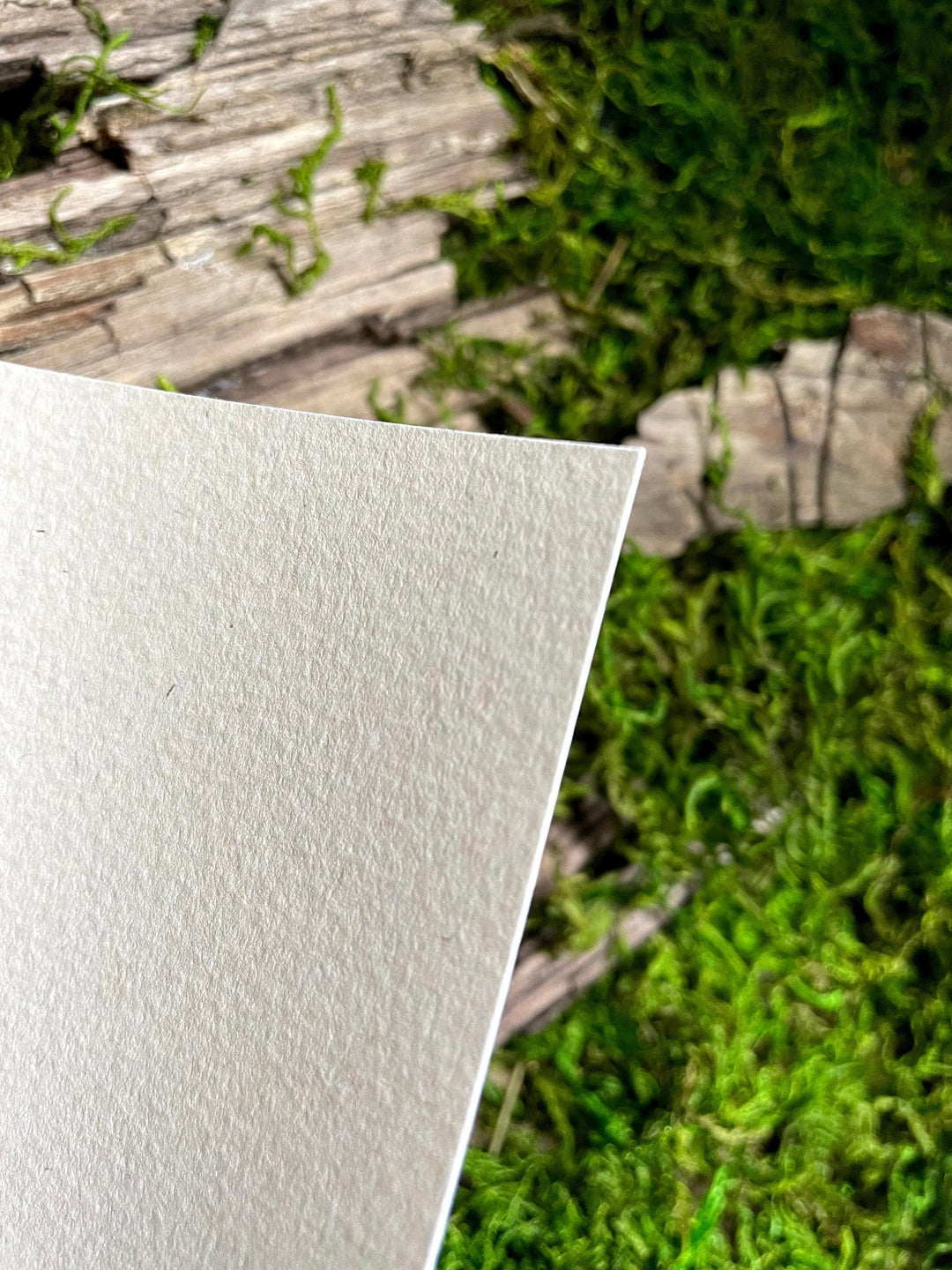 closeup of paper texture
