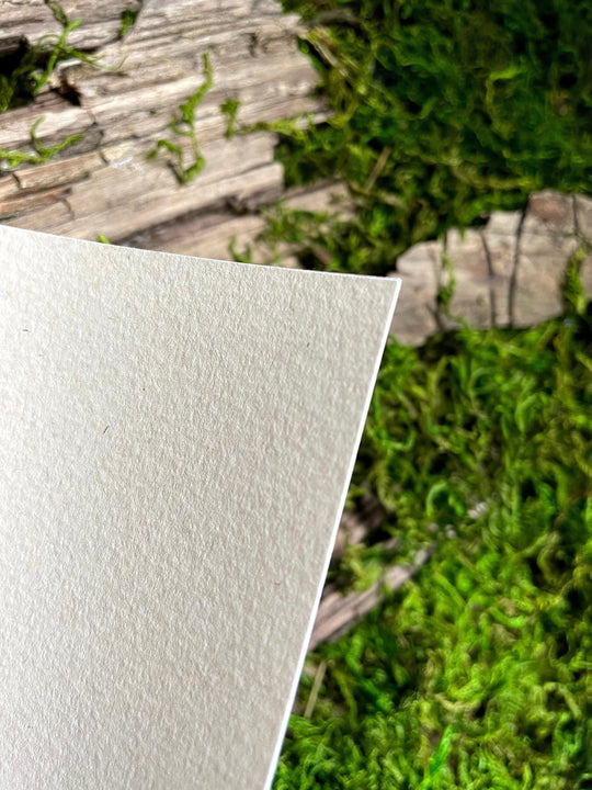 closeup of paper texture