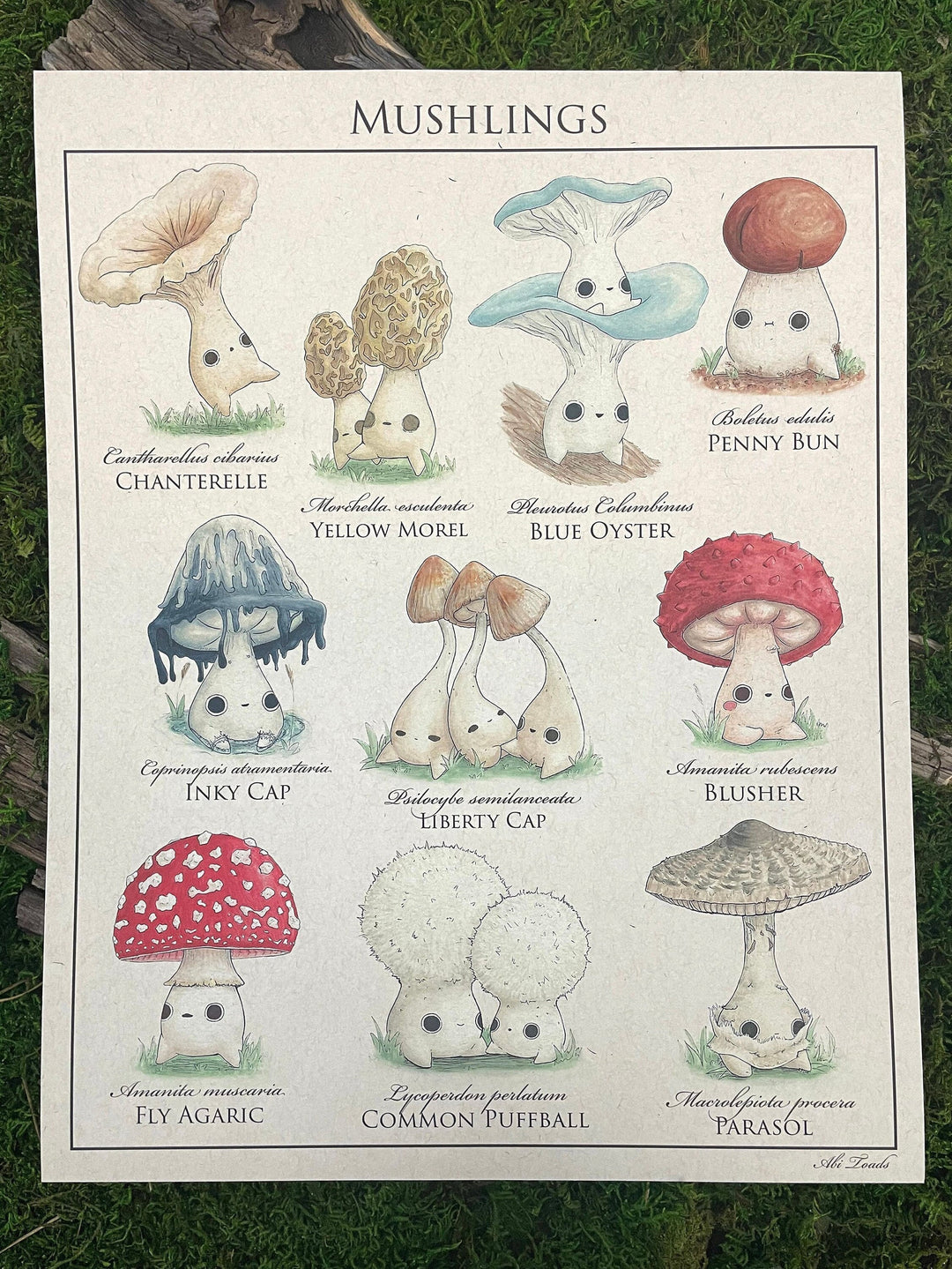 print identification poster of cute mushroom characters called mushlings based on real mushrooms