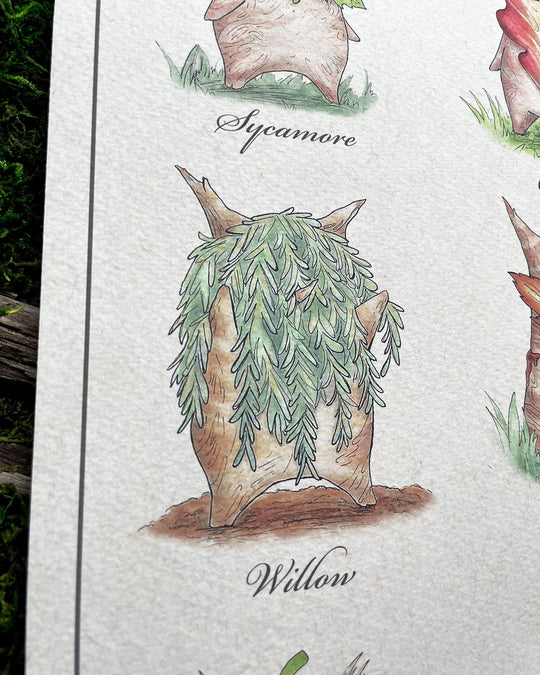 identification poster of koroks with leaf masks based on different tree leaves closeup
