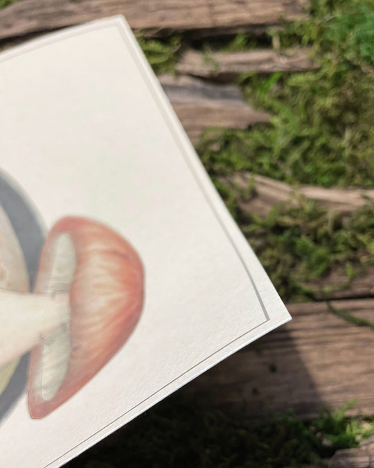 print of mushroom character laying in soup closeup