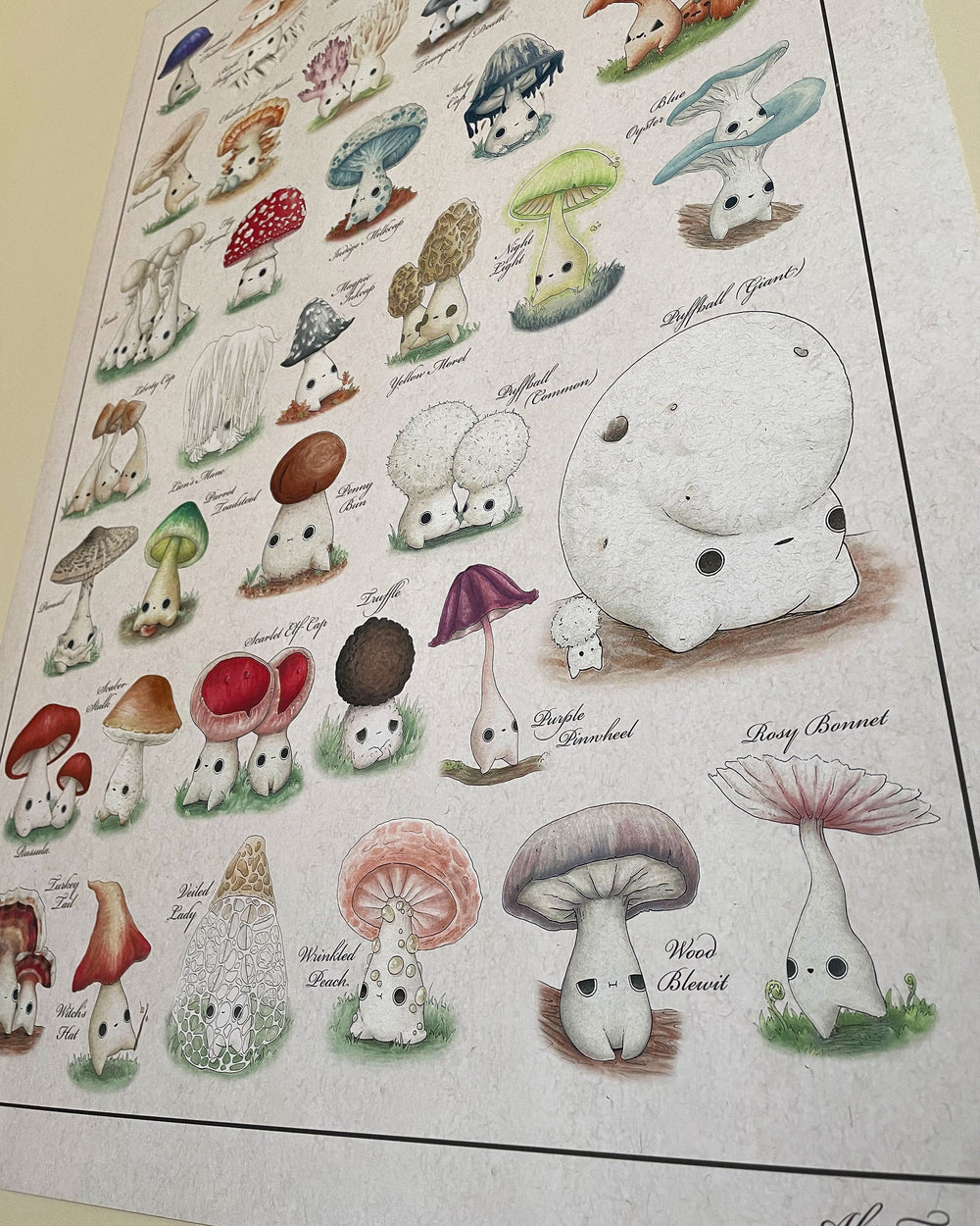 identification poster of mushroom characters closeup