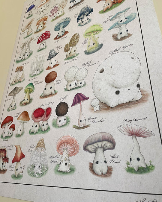 identification poster of mushroom characters closeup