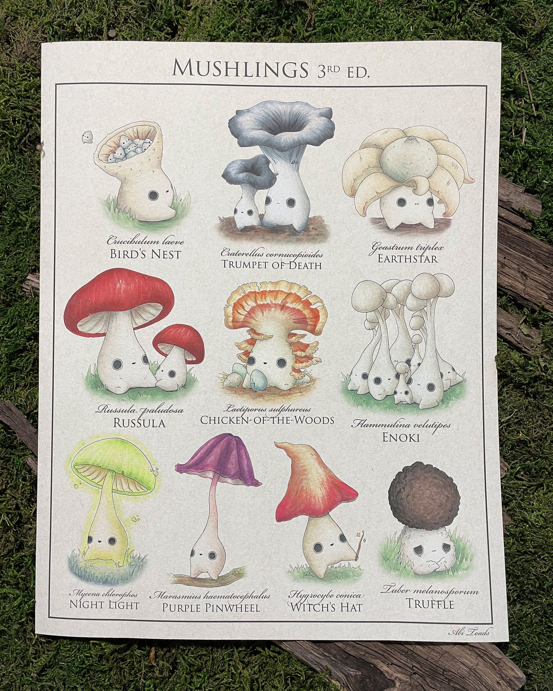 print identification poster of cute mushroom characters called mushlings based on real mushrooms