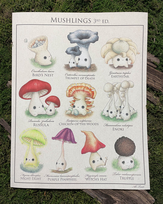 print identification poster of cute mushroom characters called mushlings based on real mushrooms