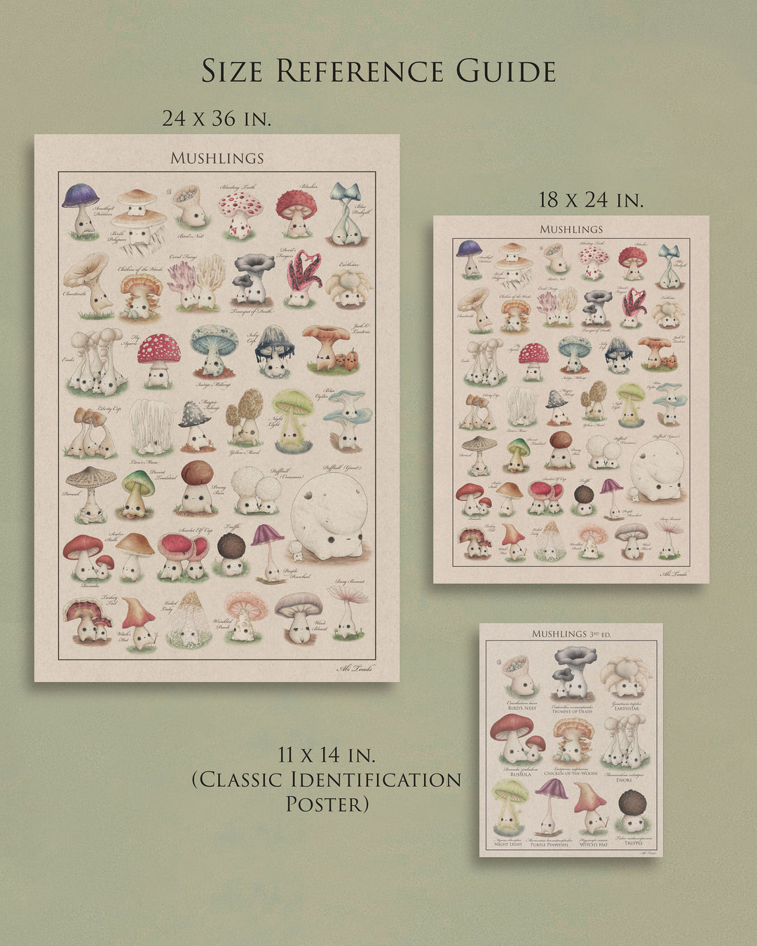 identification posters of mushroom characters of various sizes