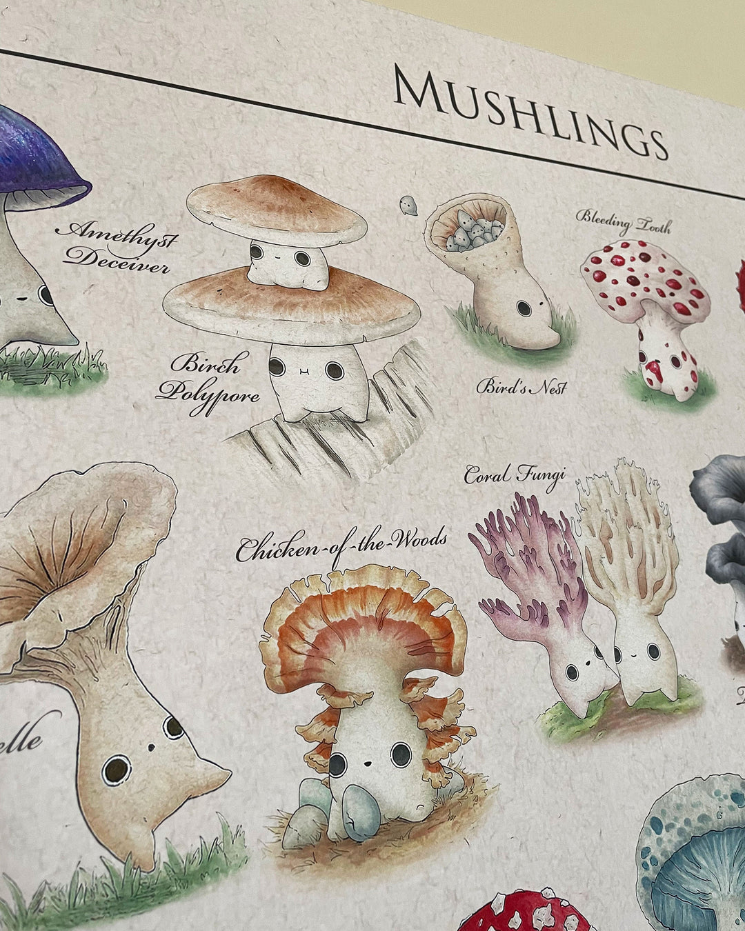 identification poster of mushroom characters closeup