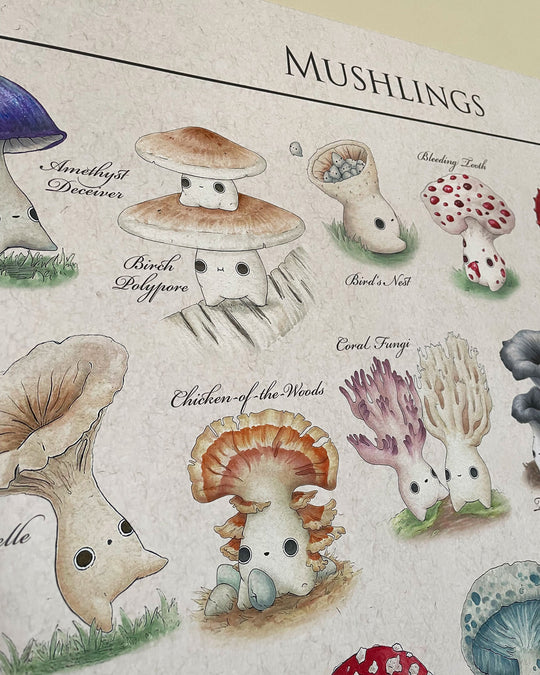 identification poster of mushroom characters closeup