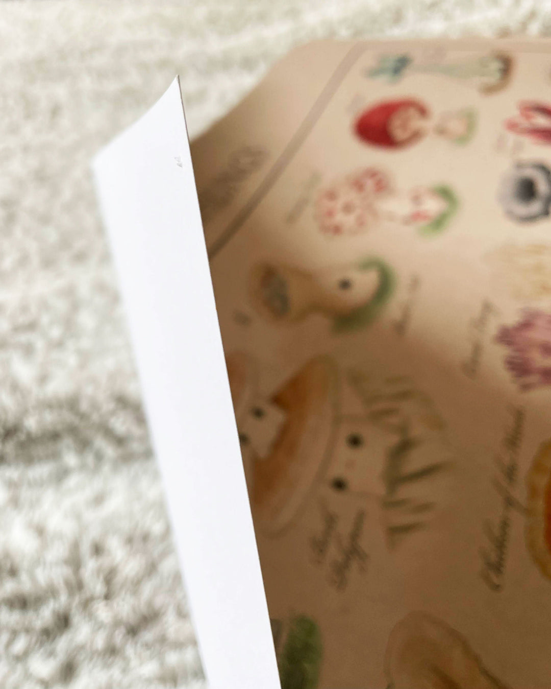 identification poster of mushroom characters closeup