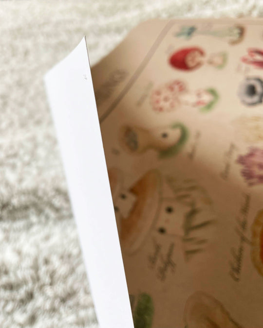 identification poster of mushroom characters closeup