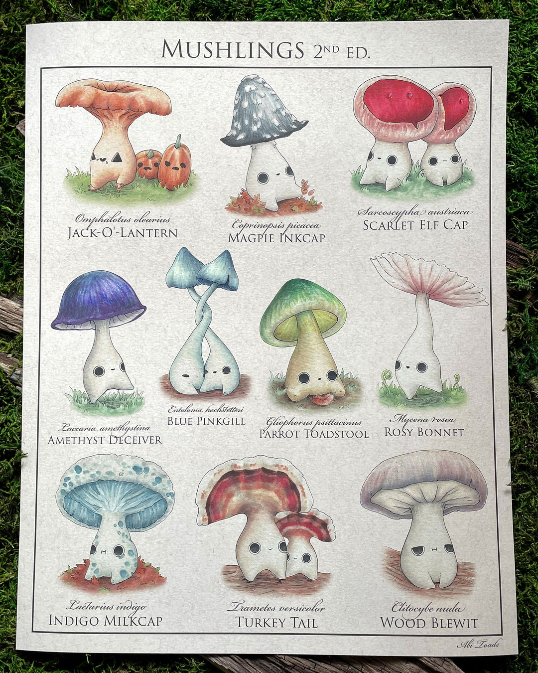 print identification poster of cute mushroom characters called mushlings based on real mushrooms