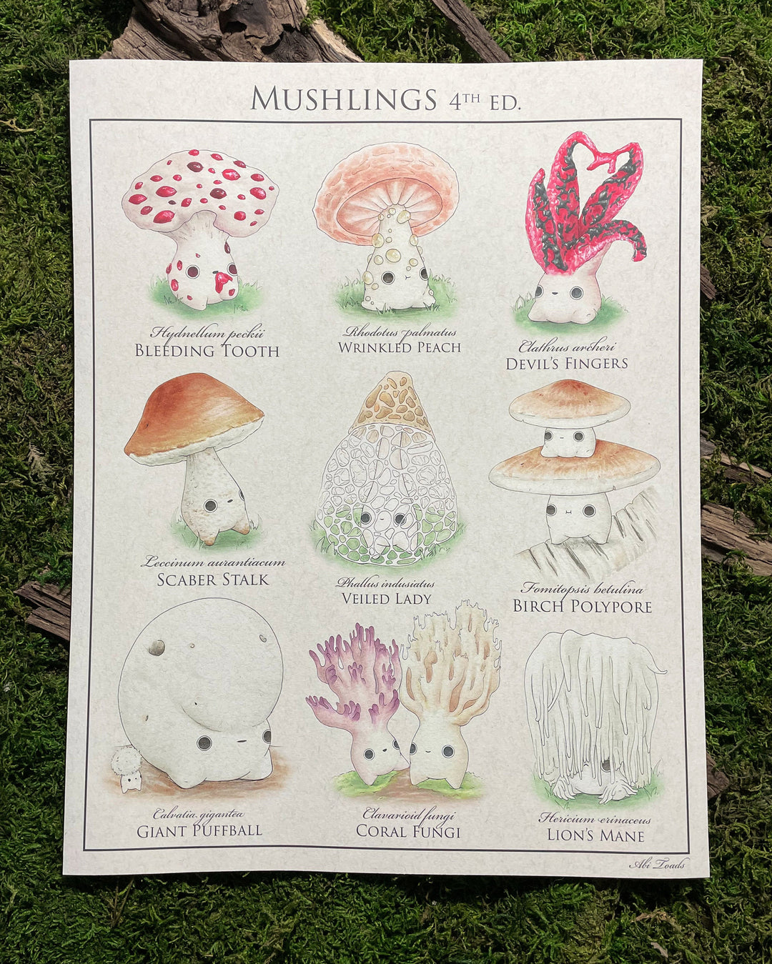 print identification poster of cute mushroom characters called mushlings based on real mushrooms