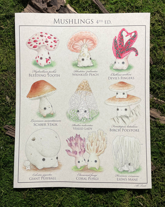 print identification poster of cute mushroom characters called mushlings based on real mushrooms