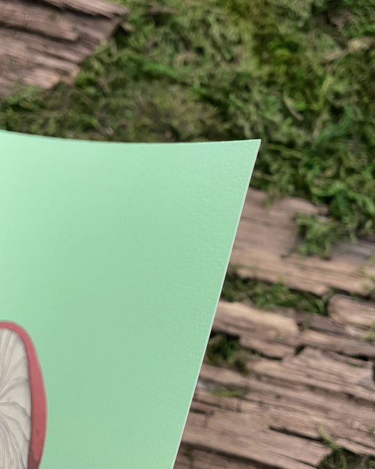 closeup of paper texture