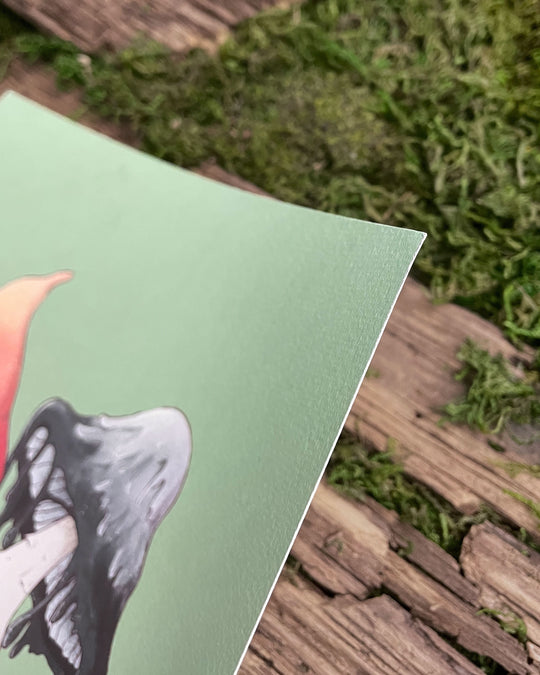 print of witch hat mushling walking with inky cap mushling closeup