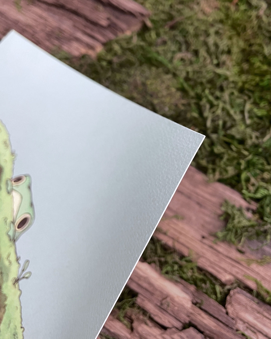 closeup of paper texture