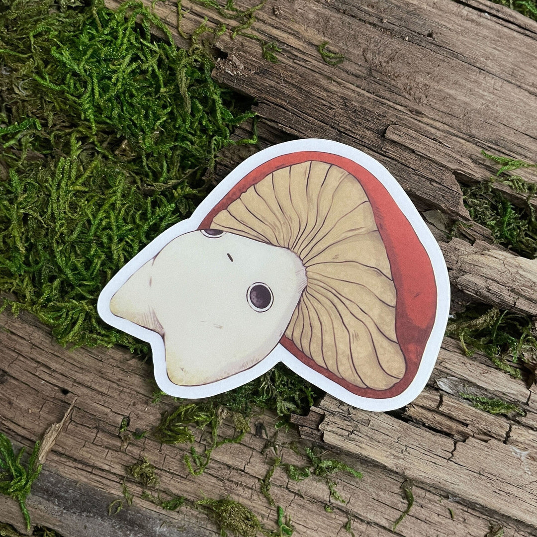 A clear sticker with a illustration of a mushroom character on a wooden surface with green moss.