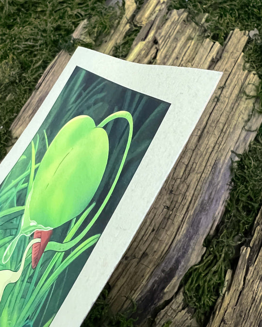 closeup of paper texture