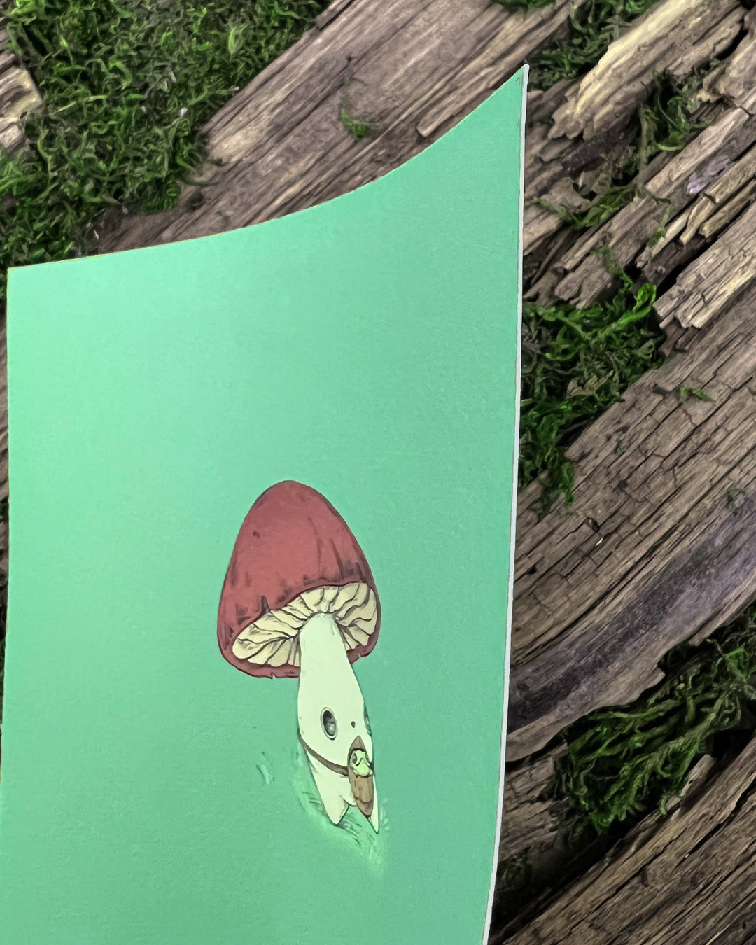 closeup of paper texture