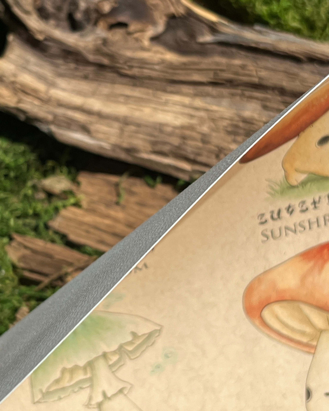 print of mushroom characters based on mushrooms in the legend of zelda games closeup