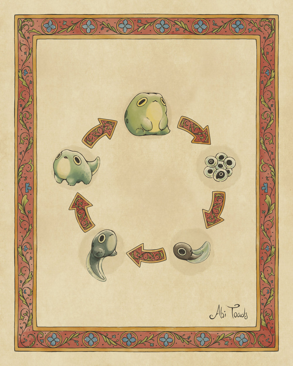 Illustration of a life cycle diagram with arrows and stages of a frog's life with decorative border.