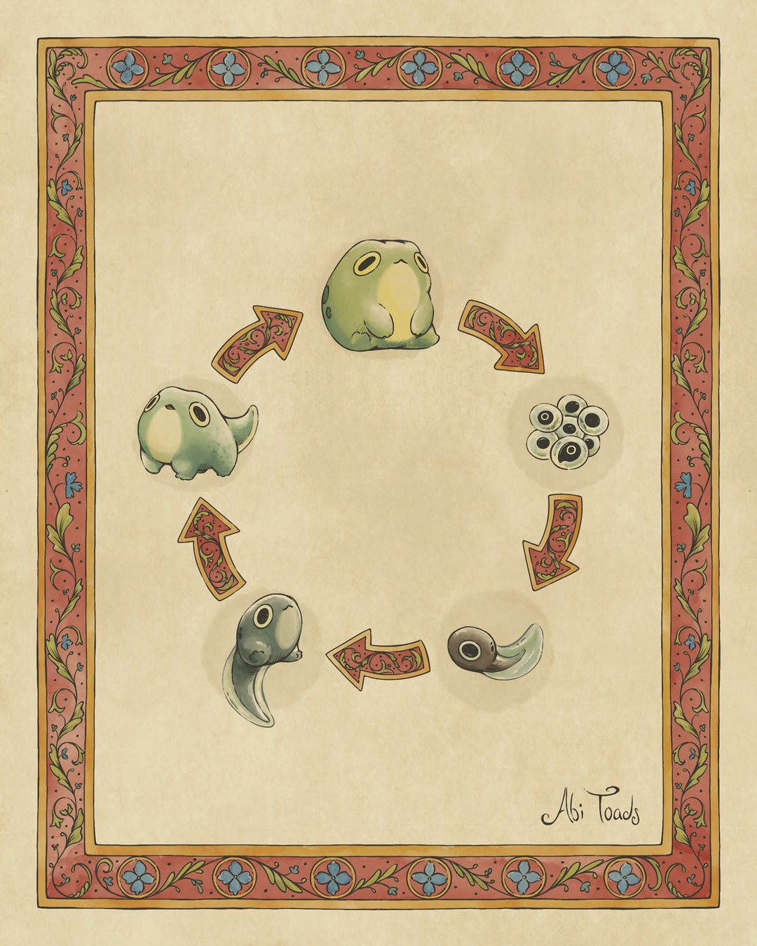 Illustration of a life cycle diagram with arrows and stages of a frog's life with decorative border.