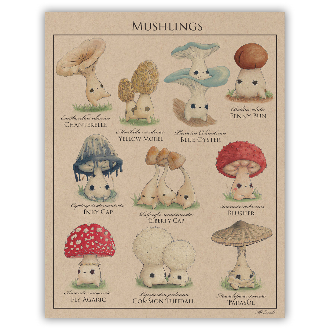 print of mushling identification poster 