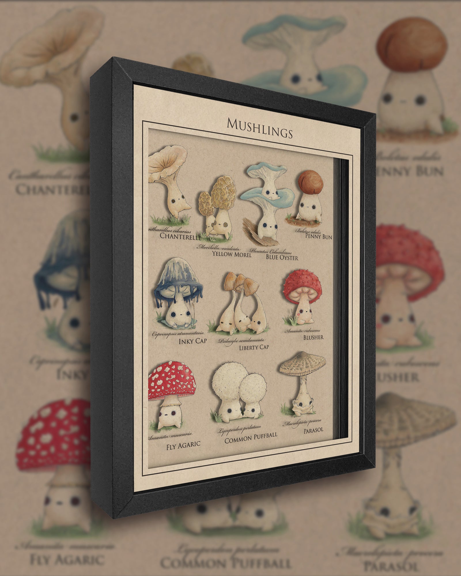 mushling identification poster in shadowbox form