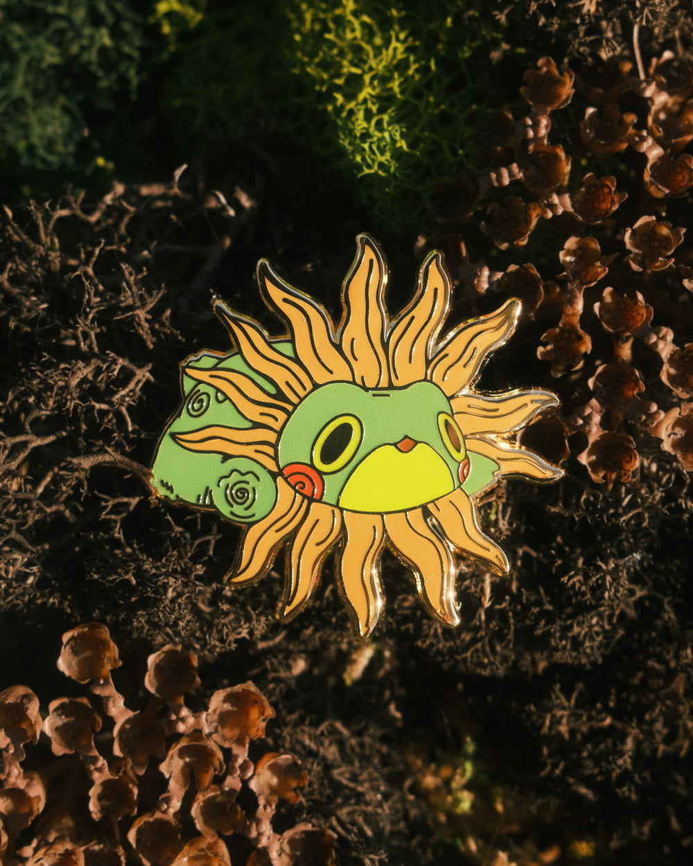pin of frog with sun costume on a mossy background